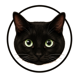 Salem — Kedy's AI Assistant Director